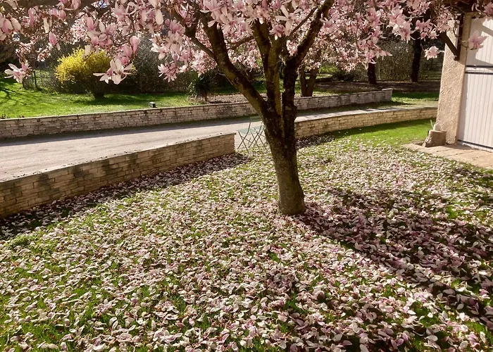 Logement Type 2 Dans Un Parc Verdoyant
