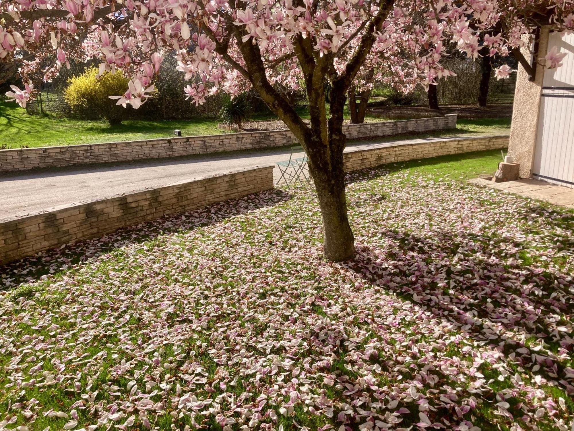 Apartment Type 2 Dans Un Parc Verdoyant *